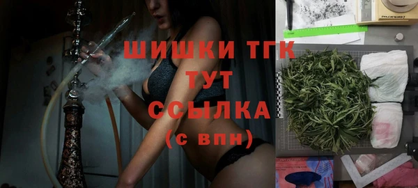 дмт Няндома