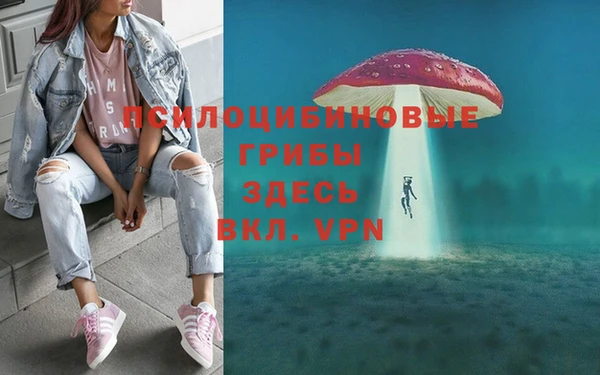 гашик Балабаново