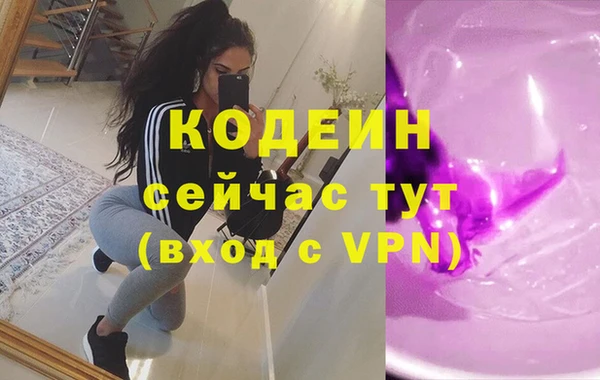 шишки Аркадак